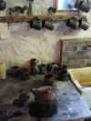 Time for tea in the Leach Pottery, St. Ives, Cornwall